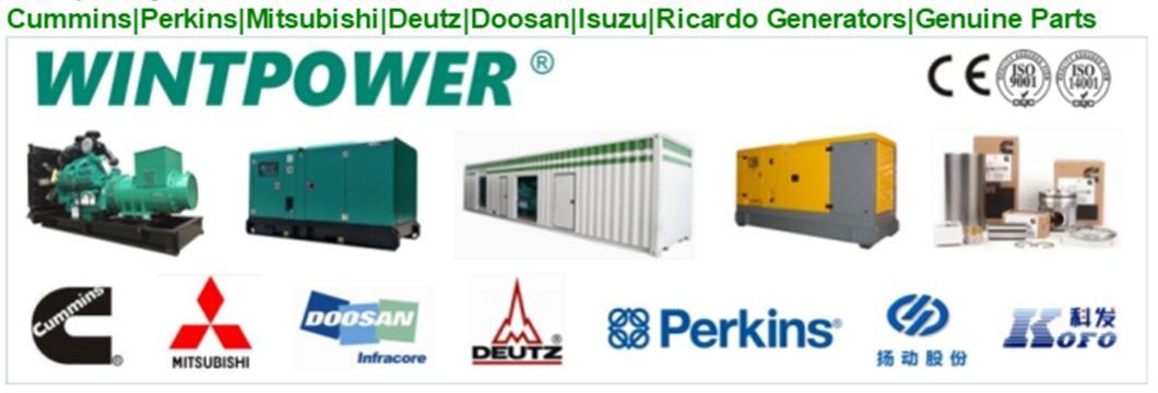 Soundproof Silent Type Diesel Gensets 100kVA/150kVA/200kVA Silent Generator Powered by Cummins Engine